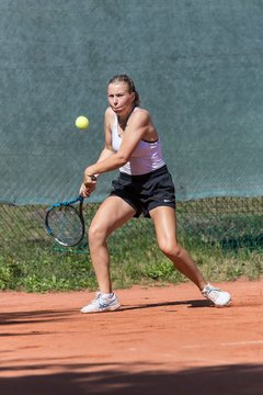 Bild 181 - Klippeldon